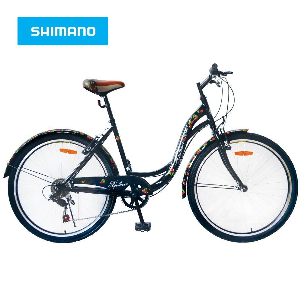 Kolo cruiser Xplorer Passeo