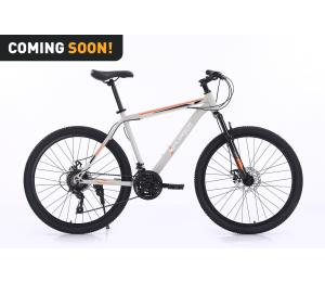 Xplorer MTB kolo DENVER Sivo 26"